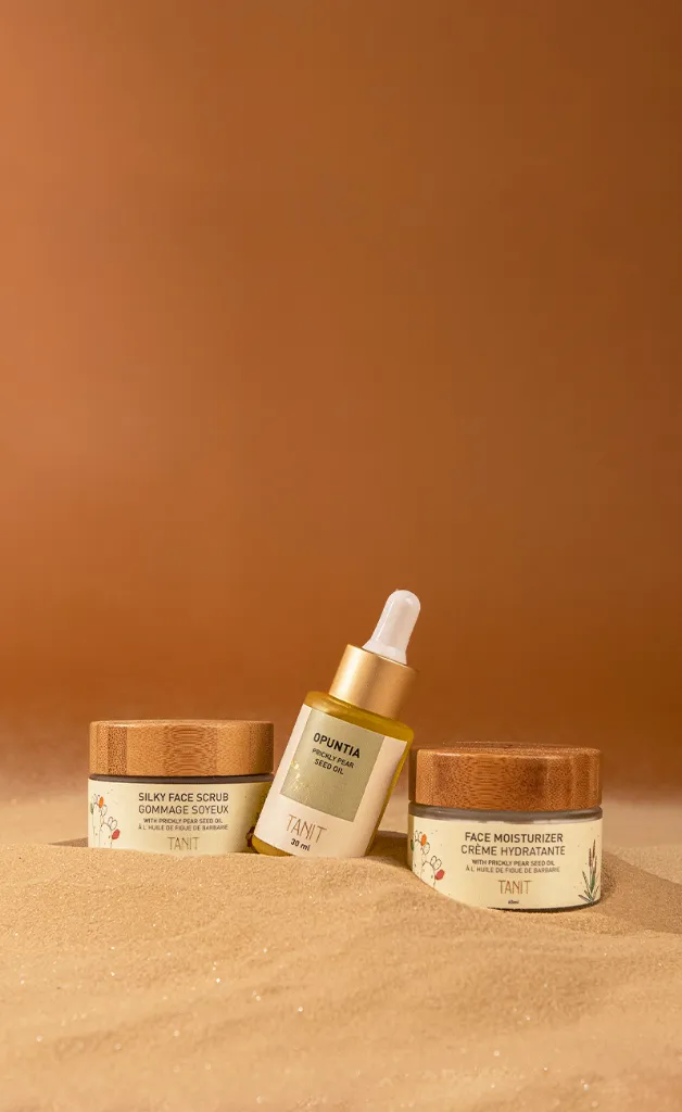 Copie de Tresors_mobile (1) copie.webp